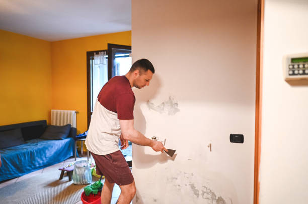 Best Black Mold Remediation in Syosset, NY