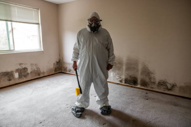 Best Mold Remediation for Specific Building Types in Syosset, NY